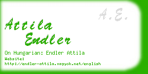 attila endler business card